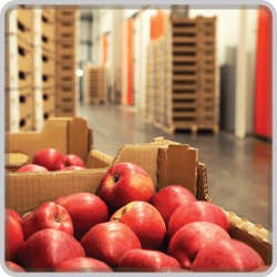 Supply Chain Monitoring_1